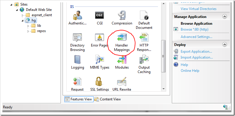 iis handler mappings