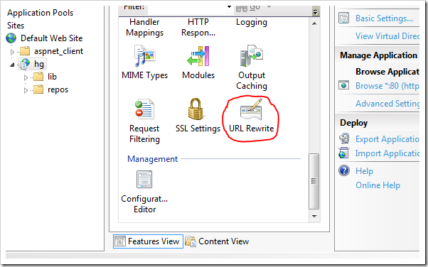 iis url rewrite